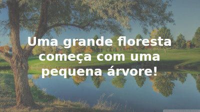 Uma grande floresta começa com uma pequena árvore!